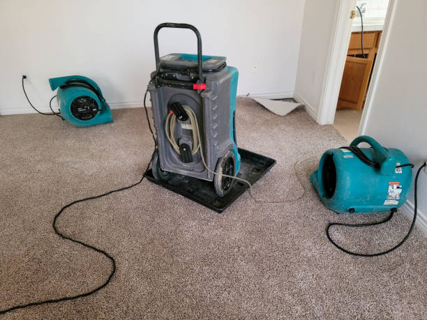 Local water damage restoration in Lester Prairie, MN