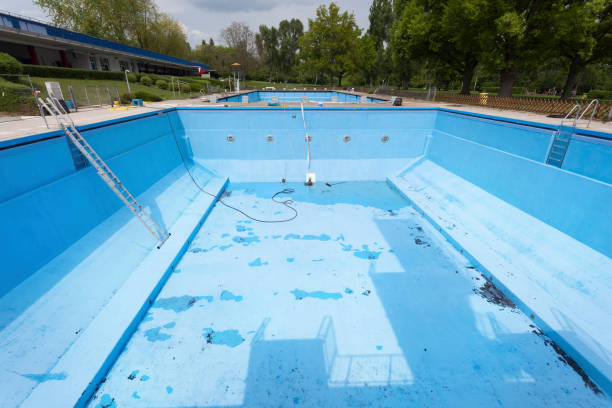 Best Basement water damage restoration  in Lester Prairie, MN