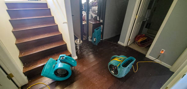Best Residential water damage restoration  in Lester Prairie, MN