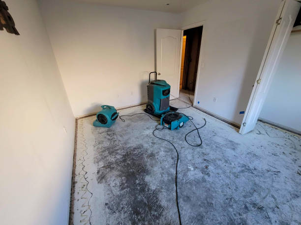 Trusted Lester Prairie, MN Water damage restoration Experts