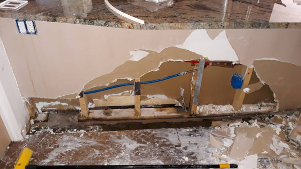 Best 24-hour water damage restoration  in Lester Prairie, MN