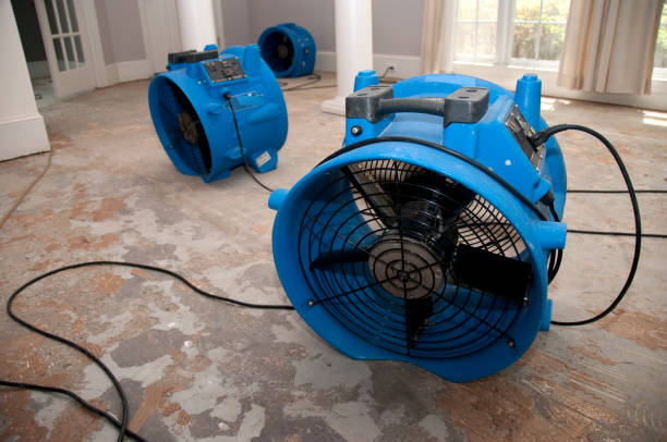 Best Water damage restoration near me  in Lester Prairie, MN