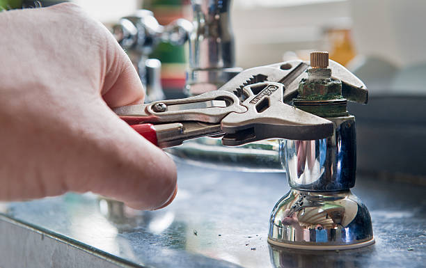 Best Professional water damage repair  in Lester Prairie, MN