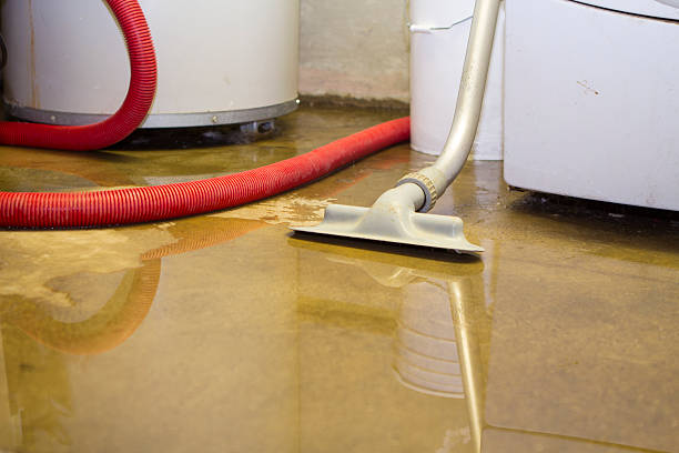 Best Commercial water damage restoration  in Lester Prairie, MN