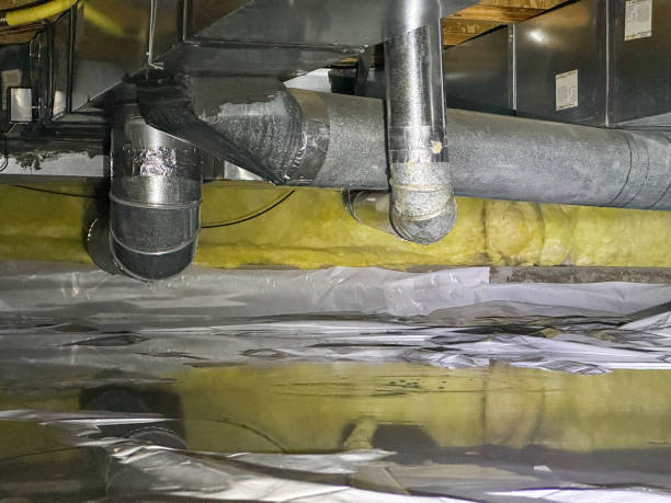 Best Water damage contractors near me  in Lester Prairie, MN
