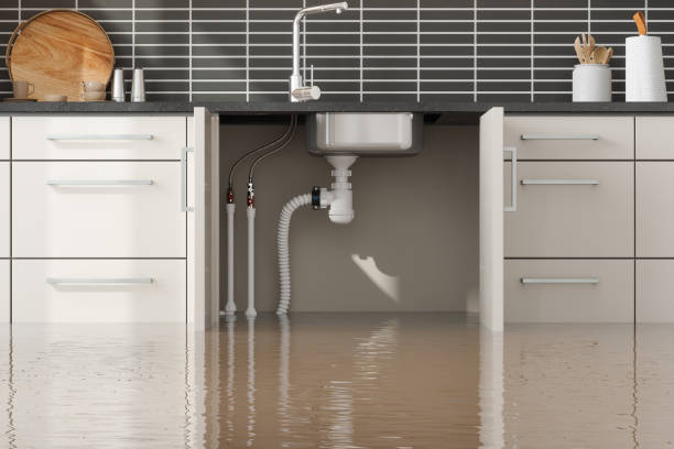 Best Ceiling water damage repair  in Lester Prairie, MN