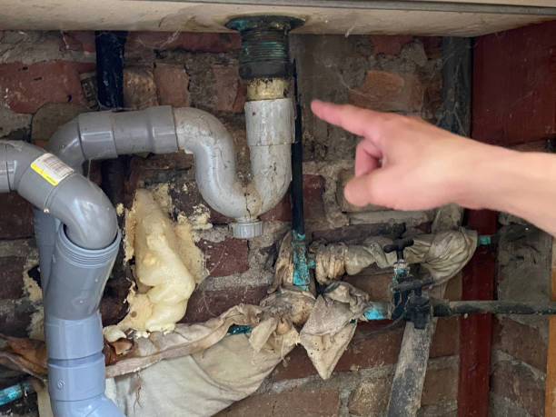 Best Sewage cleanup and water damage restoration  in Lester Prairie, MN