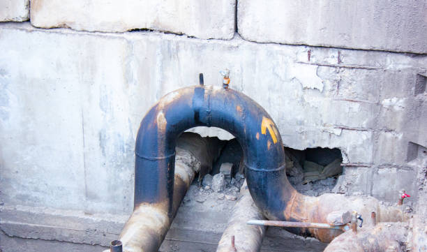 Best Fire Damage Restoration  in Lester Prairie, MN