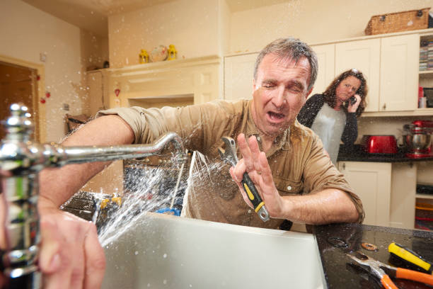 Best Flood restoration services  in Lester Prairie, MN
